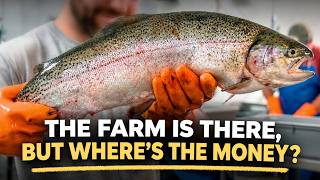 Fish Farming Business DEAD? Why Are People Losing MILLIONS in Fish Farming?