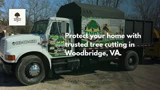 Professional Tree Cutting Service in Woodbridge VA Tino s Tree Service VA