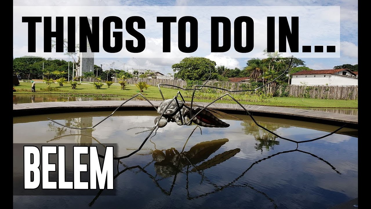 Top 10 Best Things To Do in Belem, Brazil