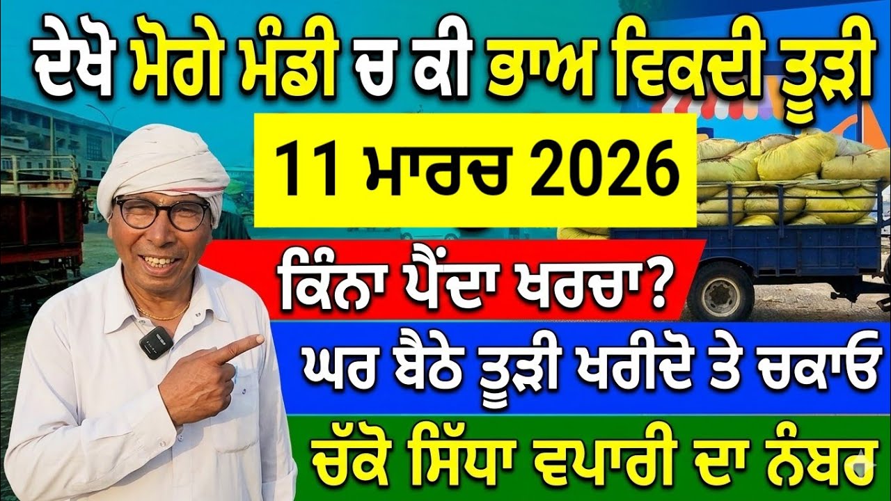 ਮੋਗੇ ਮੰਡੀ ਚ ਕੀ ਭਾਅ ਵਿਕਦੀ ਤੂੜੀ ਚੱਕੋ ਸਿੱਧਾ ਵਪਾਰੀ ਦਾ ਨੰਬਰ ਕਿੰਨਾ ਪੈਂਦਾ ਖਰਚਾ। Moga Mandi Tudi price Today