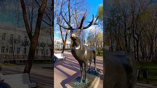 Олень Сад Блонье Смоленск #путешествия #travel #park