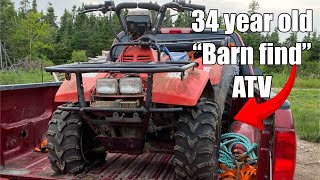 Back from the dead | 1991 Suzuki Quadrunner 250