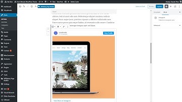 How To Embed Instagram Photos In WordPress Posts and Sidebar?