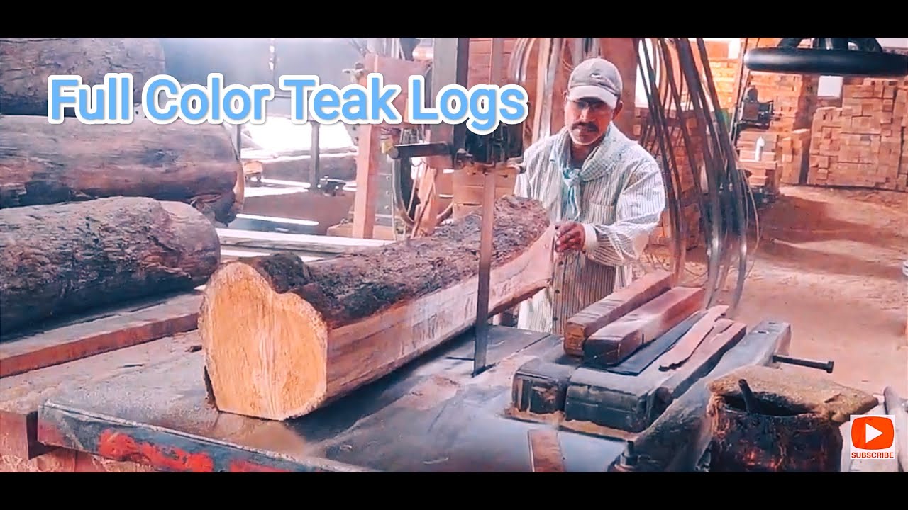 Teak heavy logs are very precious cutting through diamond blades on band saw SAWMILL 