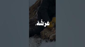 سورة هود | #quran #المنشاوي