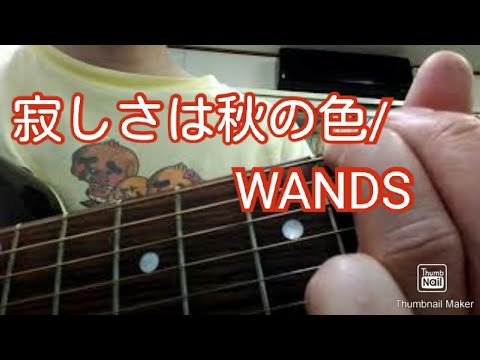 寂しさは秋の色/WANDS ヒゲちゃんカバー
