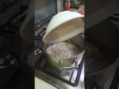        شلەی فاسۆلیا