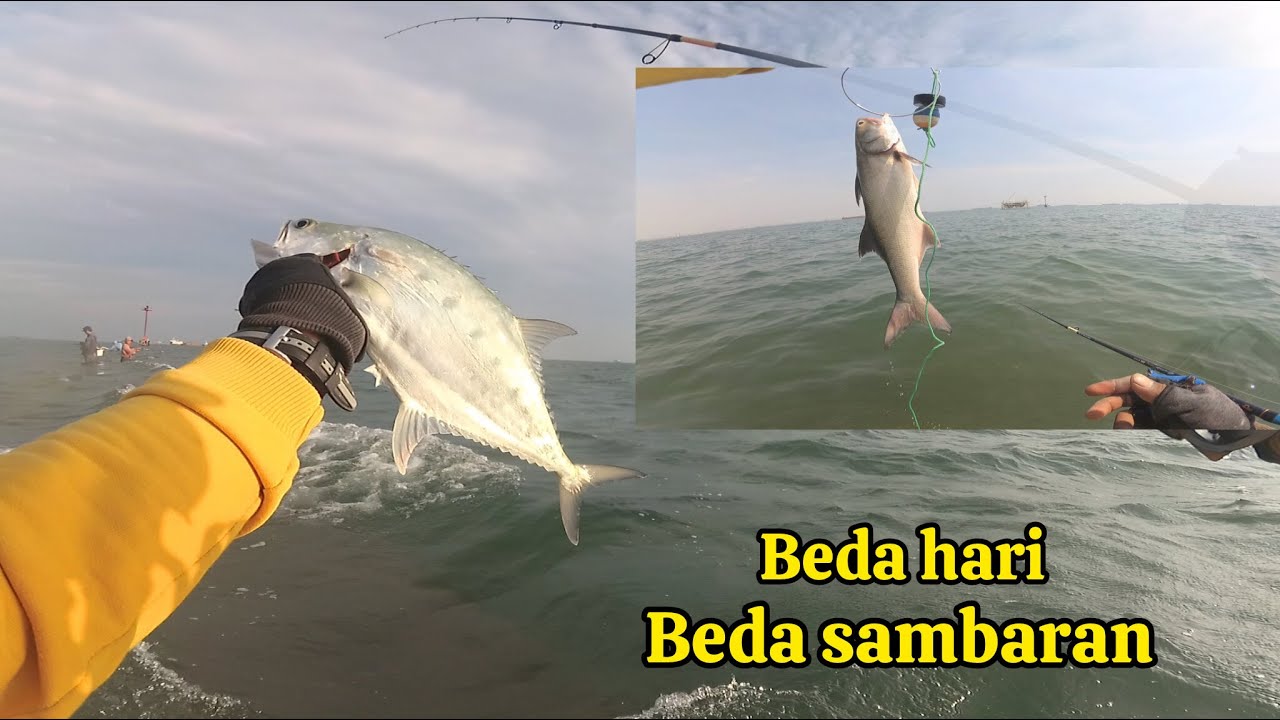 Beda hari beda pula sambaran ikanya || Ultralight jigging dam merah semarang