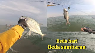 Different days, different fish strikes || Ultralight jigging dam merah semarang
