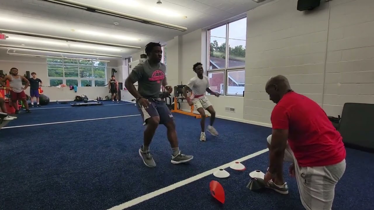 Vertimax  and Hecostix 