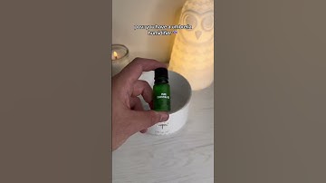 Works With Essential Oils For Even More Calm 🍃🪔 #trending #humidifier #youtubeshorts #shorts #fyp