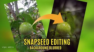 SNAPSEED PHOTO EDIT. I  FULL EXPLAINED I Passion Fruit screenshot 3