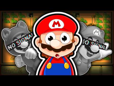 Raccoon Mario is Confusing