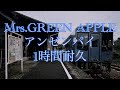 Mrs. GREEN APPLE/アンゼンパイ 1時間耐久