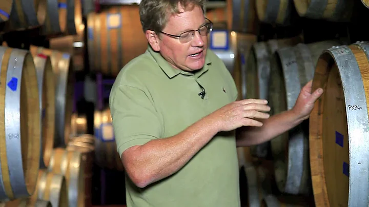 Kenneth Volk Vineyards Harvest video
