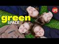 Creating our Family's Own Green Space in Tokyo 🌳 Life in Japan EP 351