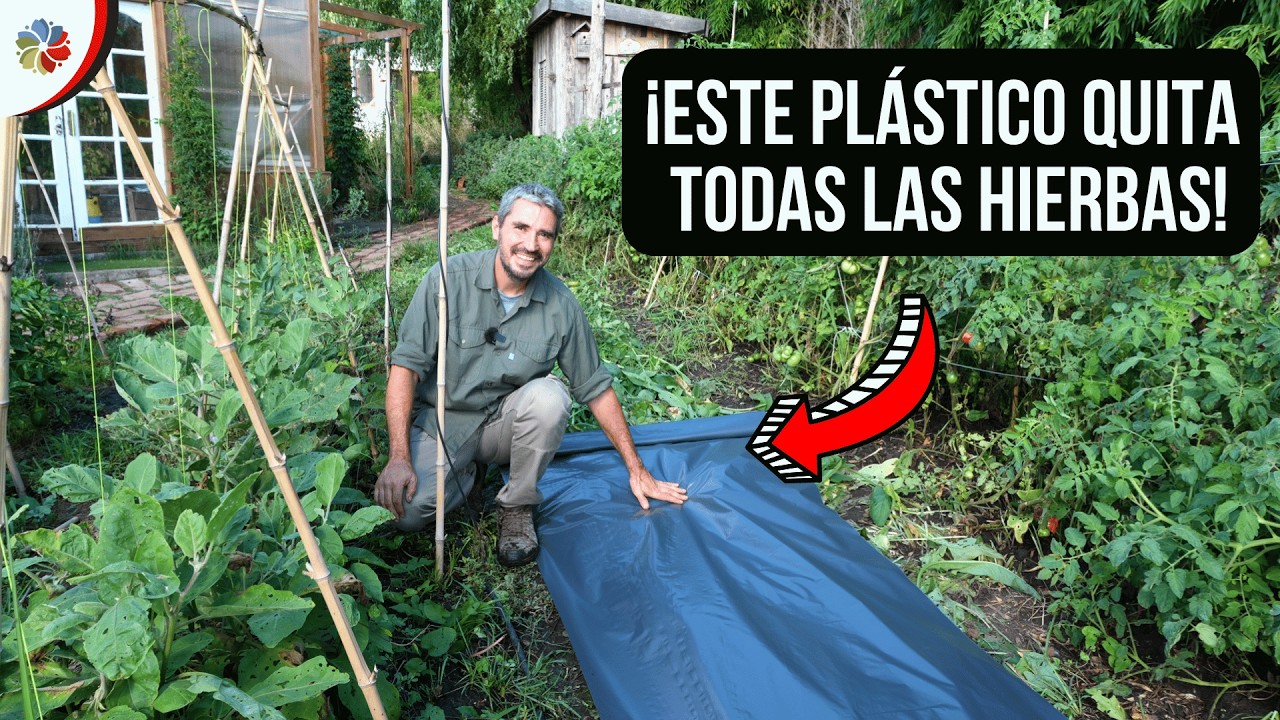 🌱 El MÉTODO del PLÁSTICO NEGRO: Elimina TODAS las HIERBAS y recupera tu HUERTO o JARDÍN