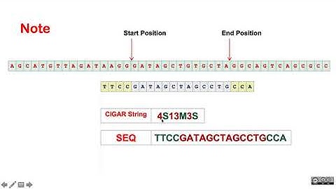 MED-145-Genomics-Introduction-to-SAM/BAM-Formats-Part 3-Lecture 8 (Spring 2021)
