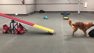 Teeter: End Position Back Up Bang Game