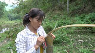 FULL VIDEO: 200 Days Solo Bushcraft, Survival Alone in the Rainforest,LIVING OFF GRID, Camping Alone