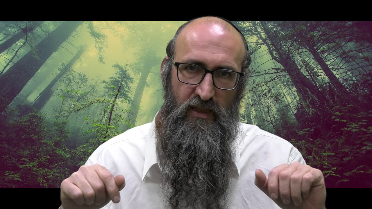 ON VA CHANGER LE MONDE 17 - Pessah', cela nous aurait suffit ! - Rav Itshak Peretz