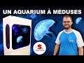 Aquarium  mduses chez toi 