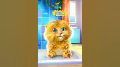 Talking  cat