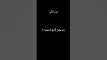 واستعينوا بالصبر والصلاة | سورة البقرة