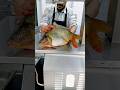 Very nice fish cutting shorts video amazing super carp fish cutting skills video #shorts #viralvideo