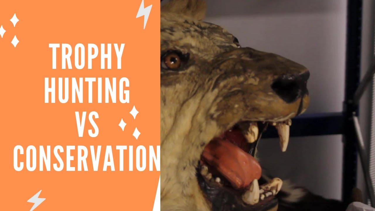 Colonial Trophy Hunting In Africa: Justified or Unjustified