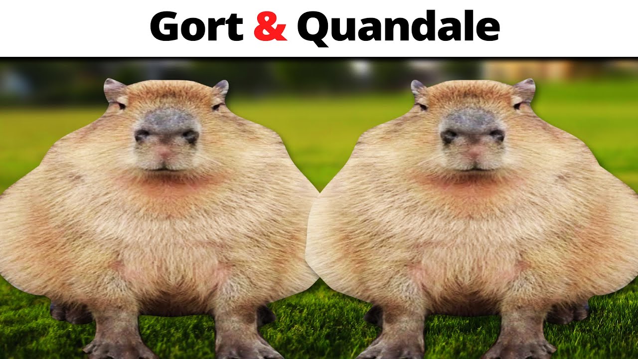 How can you tell the difference between Gort, quandale, kumala and
