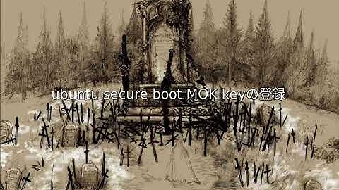 ubuntu secure boot MOK key mofumofu-it-solutions