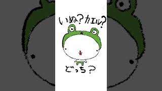 【#イラスト 】#dog #犬 #いぬ #イヌ #frog #カエル #蛙 #shorts