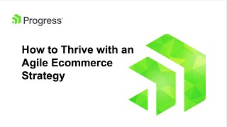 How to Thrive with an Agile Ecommerce Strategy