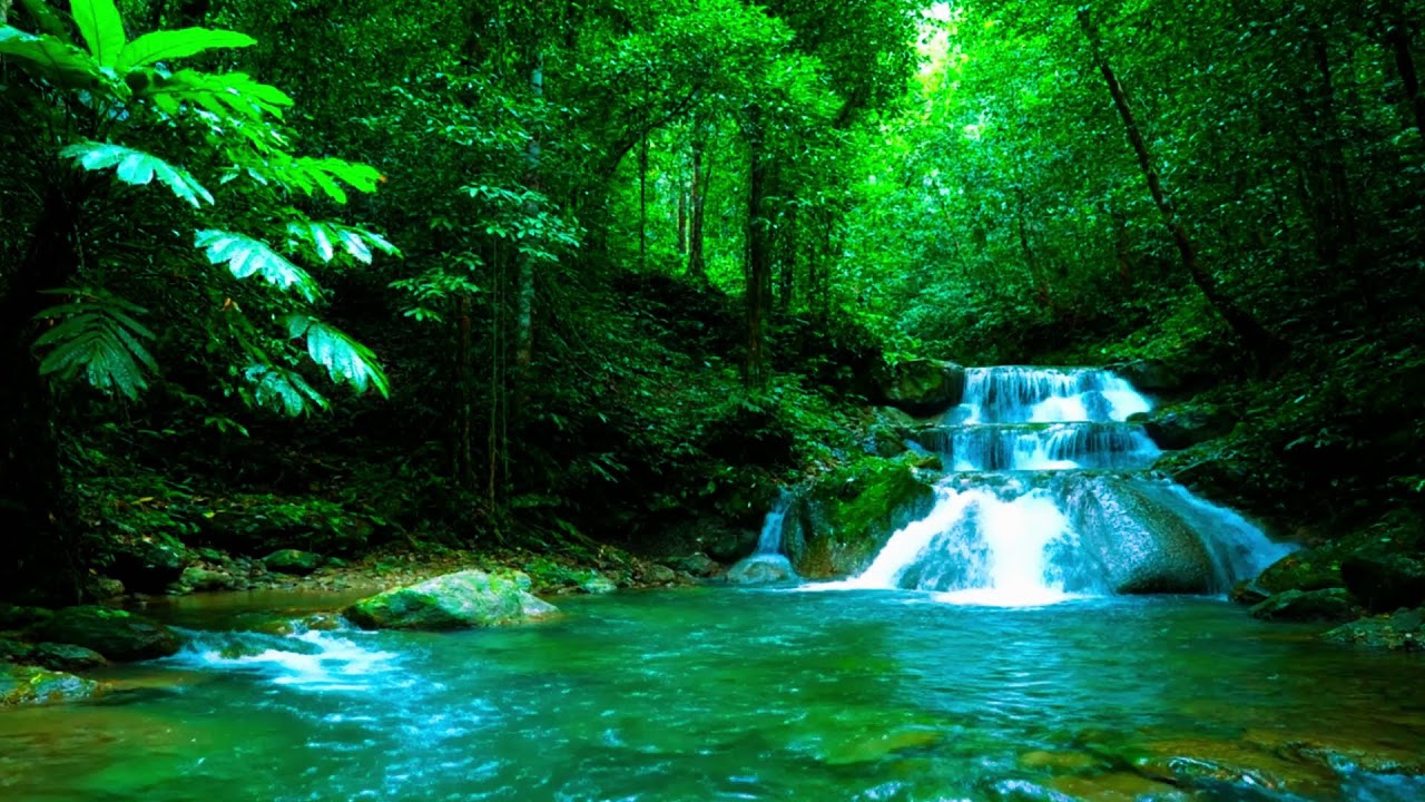 ТЫ УСНЕШЬ РАНЬШЕ, ЧЕМ ПОНЯЛ 🌿 Многоуровневый водопад в раю