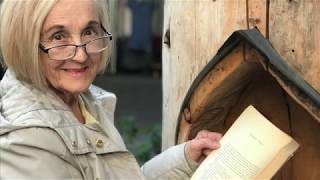 Wise Learn To Read Series Video 5