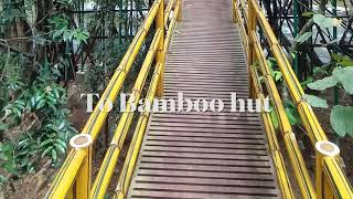 ADAVI ECO TOURISM BAMBOO HUT