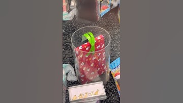 Day 1 Trying to Win from the Walmart Claw Machine! #shorts #arcade #clawmachine