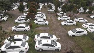 Taxi Konvensional Dulu dan Sekarang (Pool Express Taxi Joglo) #taxiexpress #pooltaxi