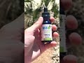 TRY-IT-CBD.com | 5000mg Full Spectrum Tincture