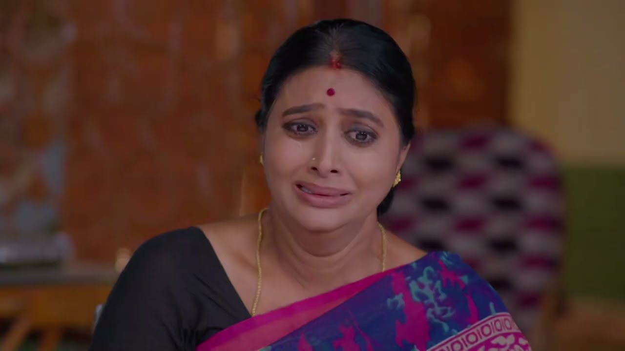 Karthika Deepam Serial Review సుమిత్ర ని హాస్పిటల్ దగ్గరకి దశరధ్ తీసుకువెళ్లాడు