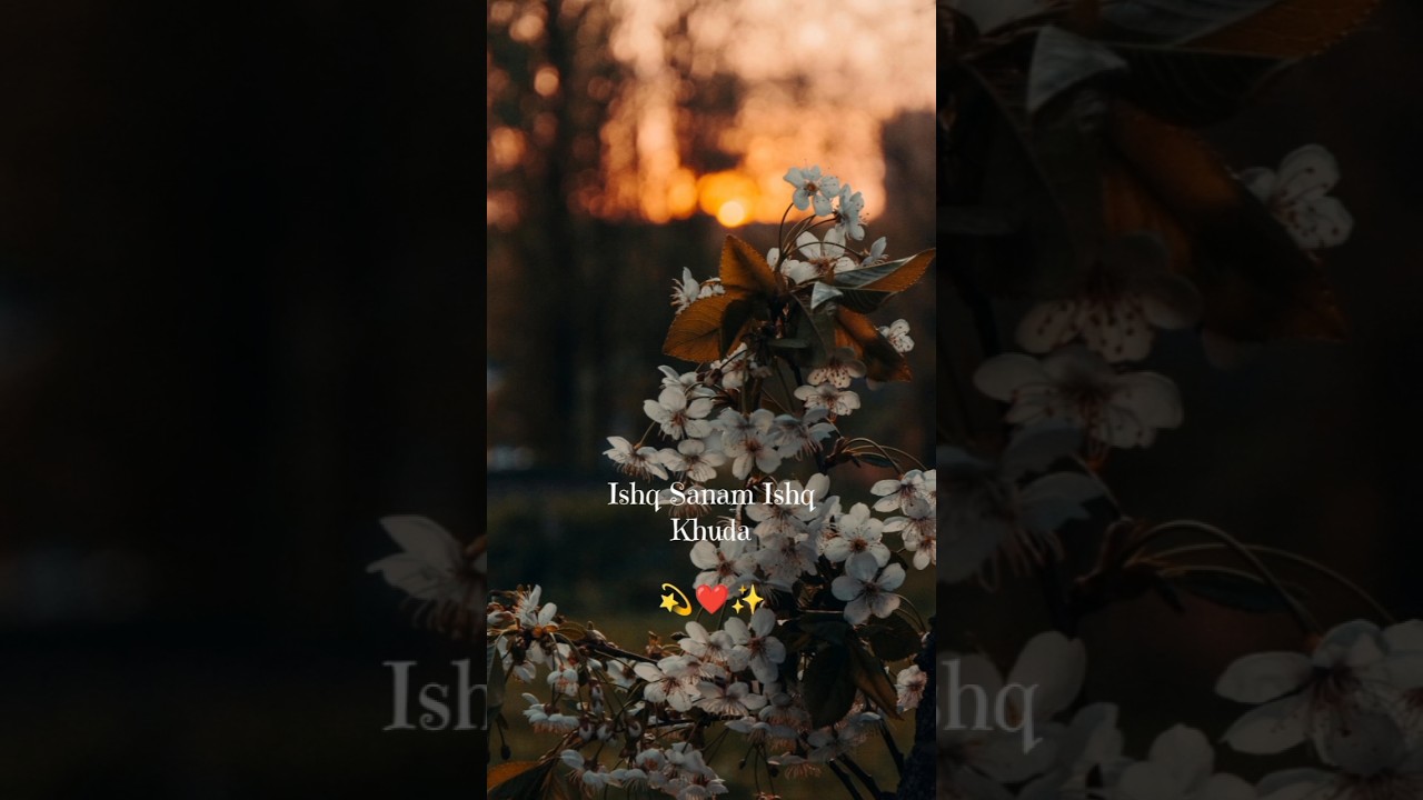 Ishq Sanam, Ishq Khuda ❤️ | True Love Status.. 