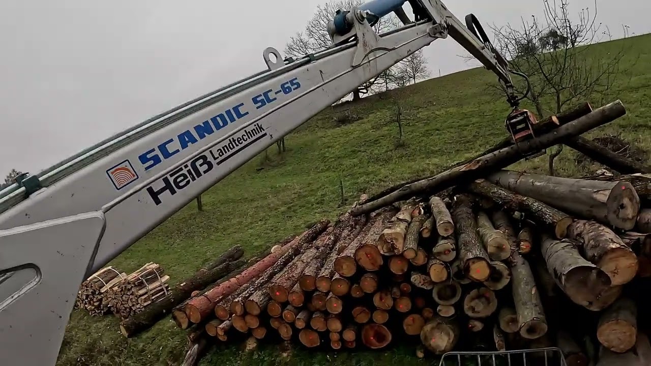 Holz sortieren mit dem Rückewagen | Eiche, Buche & Lärche.
