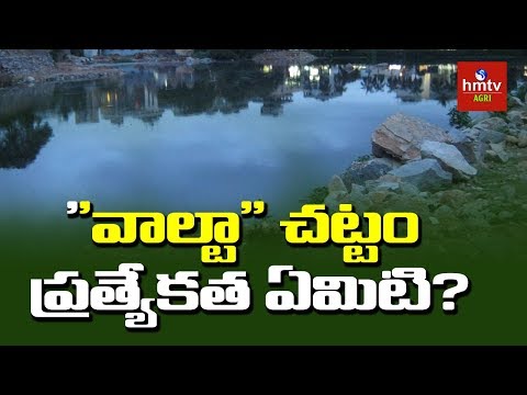 "వాల్టా" చట్టం ప్రత్యేకత ఏమిటి ? | WALTA Act | Sunil Kumar | hmtv Agri