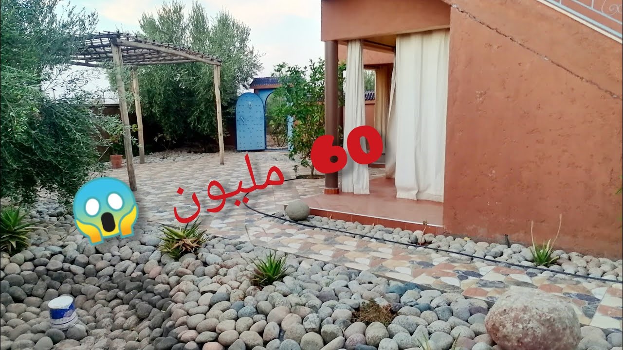 1200 متر تتر فونصي🌹 داير بها الصور فيها الزيتون فيها دار الثمن 60 مليون🎉 قابلة للنقاش 0663550615