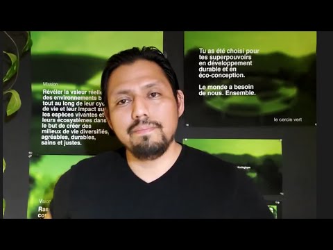 Vidéo: Énergie De La «jungle De Pierre» - Vue Alternative