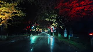 [4K] Night driving on a rainy forest road in Seorak Mountain, deep at night. Rain Driving for Sleep