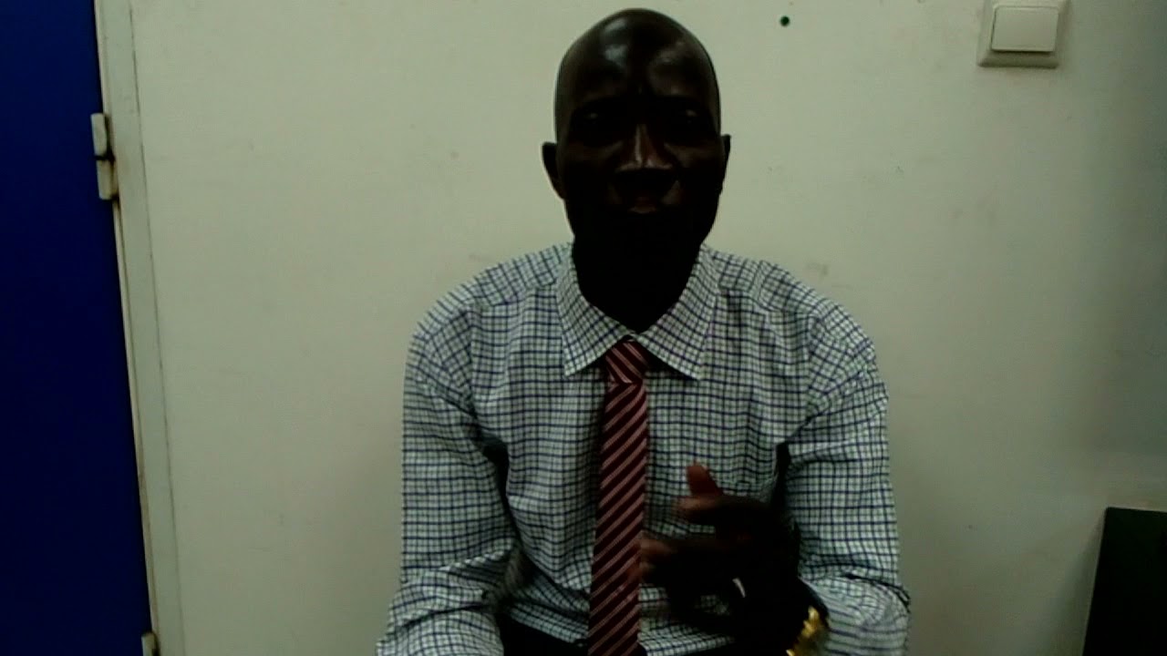 un bref aperçu du roman sous l'orage de Seydou badian.