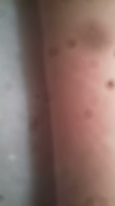 xxx videos
