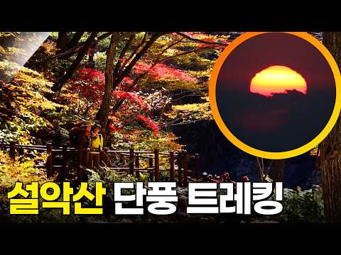 A Must-Visit Fall Destination! Seoraksan Autumn Foliage Trekking [Trekking Note: Walking the Worl...